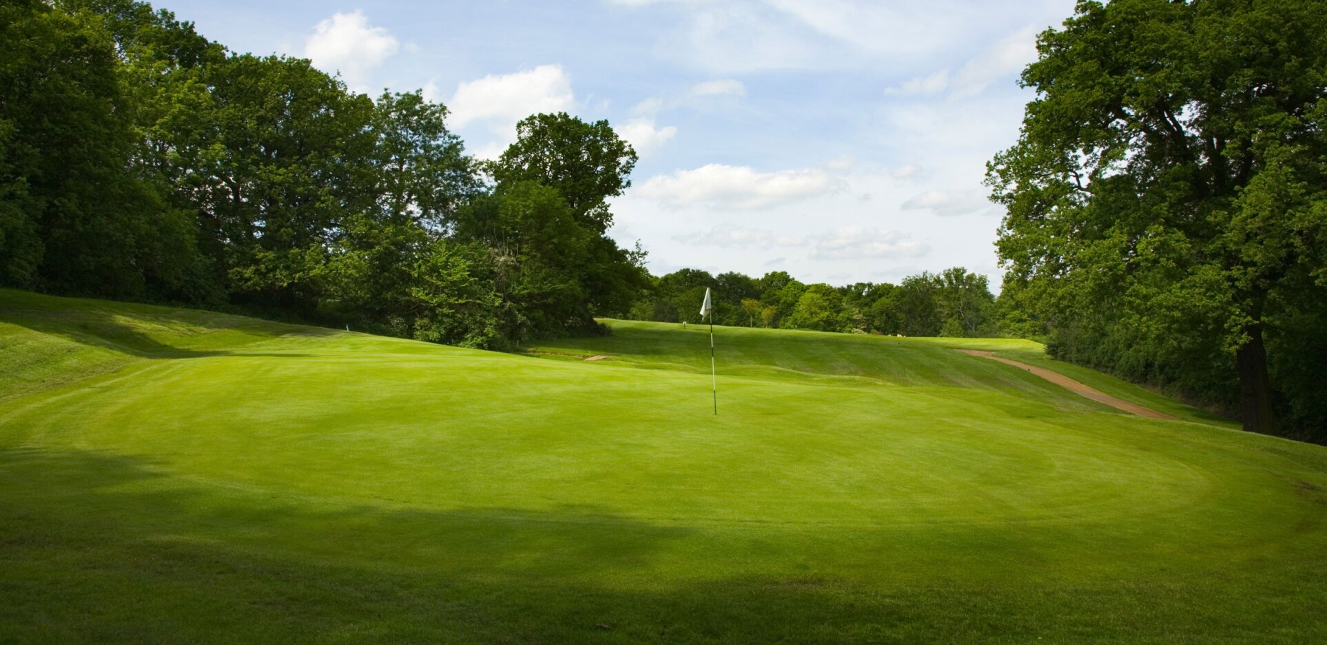 view of golf course with trees